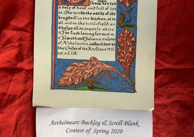 Lady Nichola Beese: Backlog Nontraditional